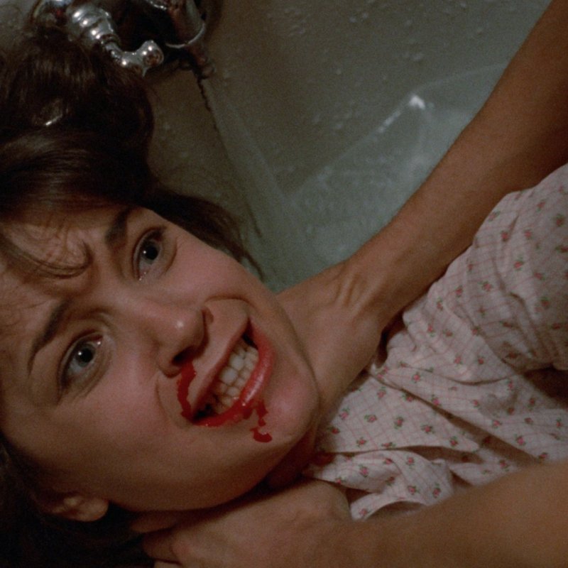 The Killing Kind&nbsp;(1973)