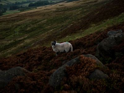 Devil’s Day by Andrew Michael&nbsp;Hurley